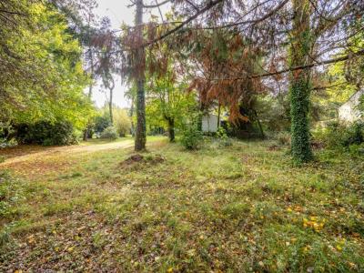 Acheter Terrain 904 m2 Gueriniere