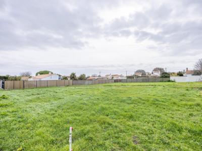 Annonce Vente Terrain Barbatre 85