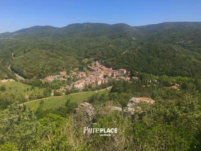 Acheter Maison 500 m2 Felines-termenes