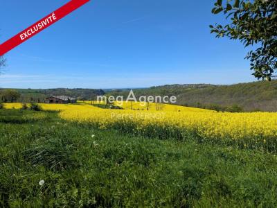 For sale Paulinet 1134 m2 Tarn (81250) photo 0
