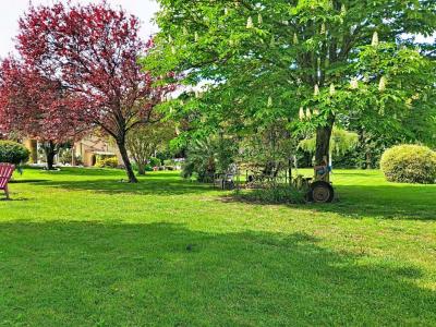 Annonce Vente Prestige Thor 84