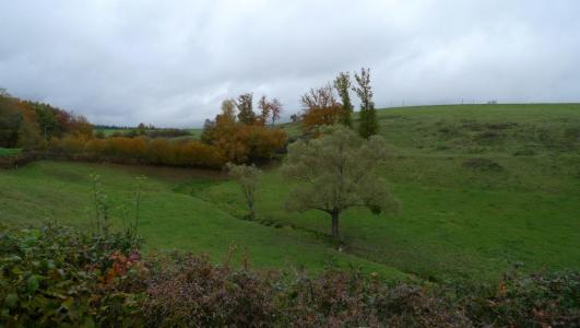 Annonce Vente 4 pi�ces Maison Boulaye 71