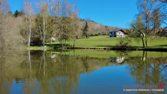 For sale Coinches 6 rooms 126 m2 Vosges (88100) photo 0