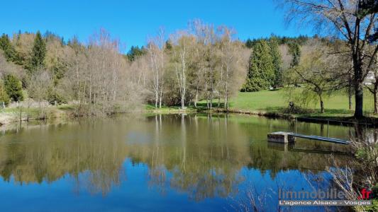 Acheter Maison Coinches Vosges