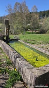 Acheter Maison Coinches 525000 euros