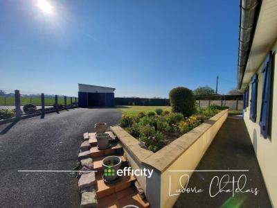 Annonce Vente 3 pi�ces Maison Erquy 22