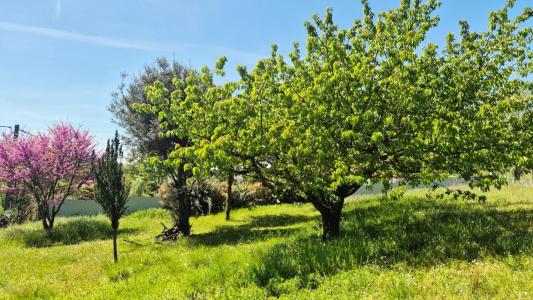 For sale Saint-lattier 1193 m2 Isere (38840) photo 0