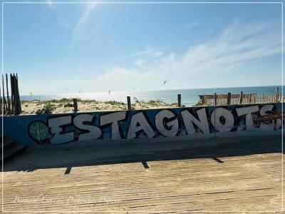 Annonce Vente 4 pi�ces Appartement Seignosse 40