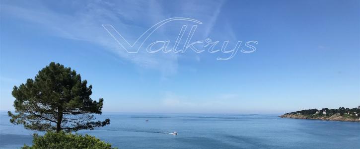 Acheter Maison 650 m2 Moelan-sur-mer