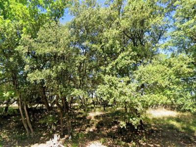 For sale Grignan 1500 m2 Drome (26230) photo 0