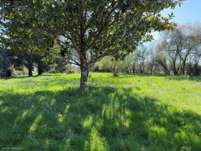 Acheter Maison 139 m2 Civray