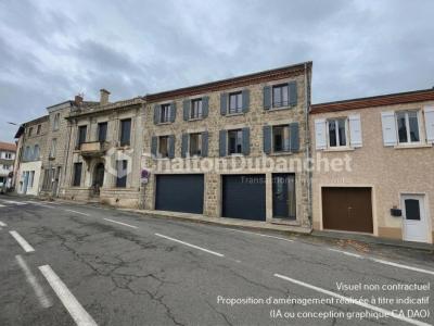 Annonce Vente Maison Cottance 42