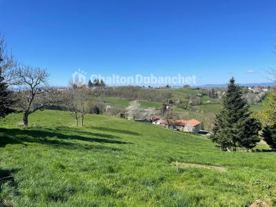 Annonce Vente 4 pi�ces Maison Saint-just-la-pendue 42