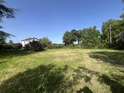For sale Toulouse 463 m2 Haute garonne (31000) photo 0