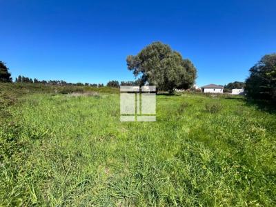 For sale Lucciana Corse (20290) photo 1