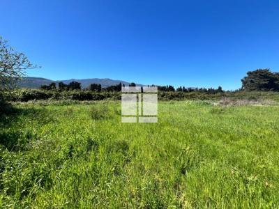 For sale Lucciana Corse (20290) photo 2