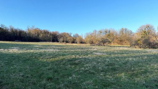 Acheter Programme neuf Pirey