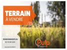 Vente Terrain Billy-berclau  995 m2