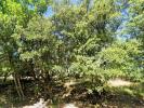 Vente Terrain Grignan  1500 m2