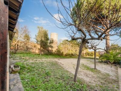 Acheter Terrain  Herault