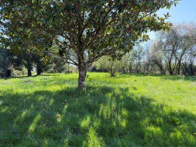 Acheter Maison 139 m2 