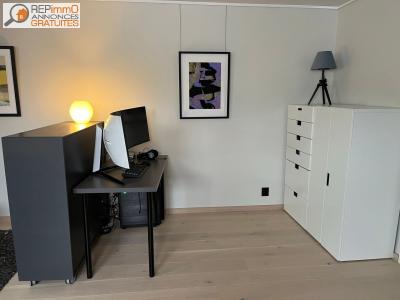 Louer Appartement Lyon 500 euros