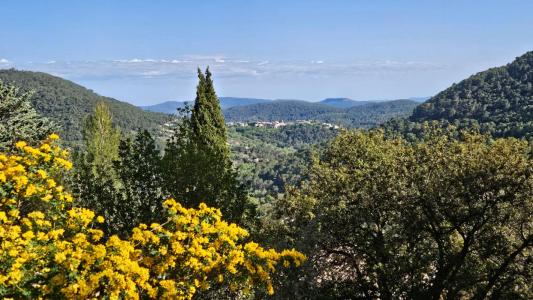 Acheter Maison 165 m2 Bargemon