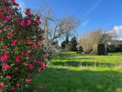 Annonce Vente Terrain Moelan-sur-mer 29