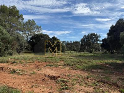 Acheter Terrain 536 m2 Saint-siffret