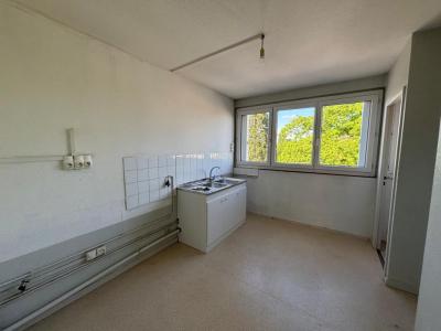Annonce Location 4 pi�ces Appartement Chenove 21