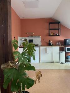 For rent Chapelle-des-fougeretz 2 rooms 34 m2 Ille et vilaine (35520) photo 0