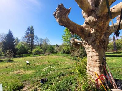 Acheter Maison Chaumes-en-brie Seine et marne