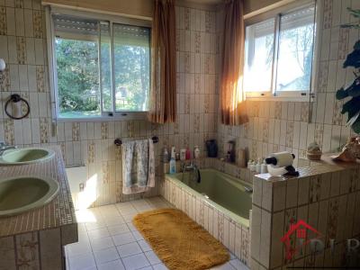 Acheter Prestige Saint-germain Haute saone