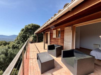 Annonce Vente 3 pi�ces Maison Olmeto 20