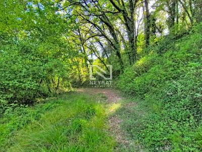 For sale Tourrettes 4000 m2 Var (83440) photo 0