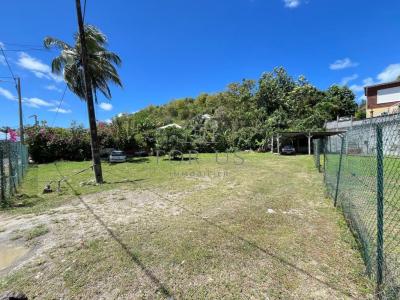 For rent Abymes 783 m2 Guadeloupe (97139) photo 1