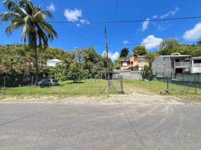 For rent Abymes 783 m2 Guadeloupe (97139) photo 2