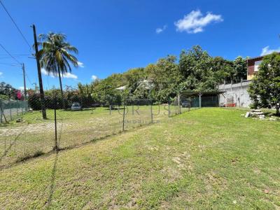 For rent Abymes 783 m2 Guadeloupe (97139) photo 3