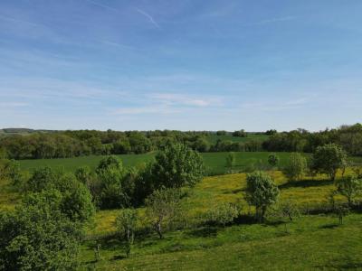 Acheter Prestige 230 m2 Vic-fezensac