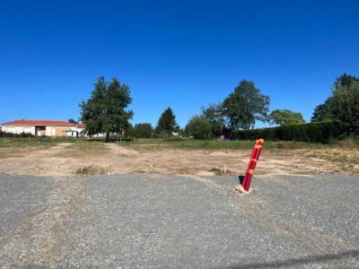 Annonce Vente Terrain Nervieux 42