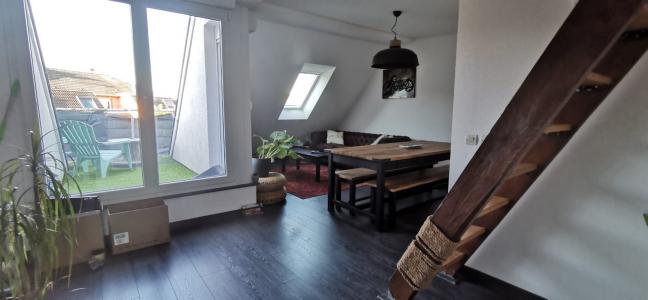 For rent Strasbourg 2 rooms 48 m2 Bas rhin (67200) photo 0