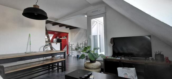 Annonce Location 2 pi�ces Appartement Strasbourg 67