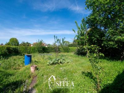 For sale Colomiers 645 m2 Haute garonne (31770) photo 2