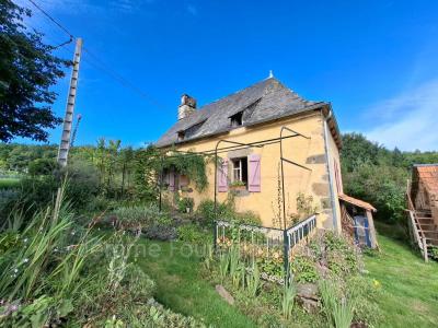 Annonce Vente 4 pi�ces Maison Laval-sur-luzege 19