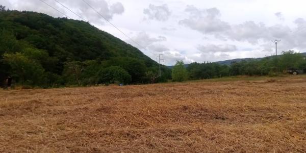 Acheter Terrain Courniou Herault