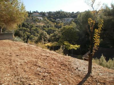 Acheter Terrain Nice Alpes Maritimes
