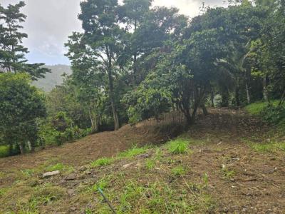 For sale Fort-de-france 2175 m2 Martinique (97200) photo 0