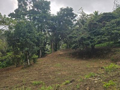 Annonce Vente Terrain Fort-de-france 972