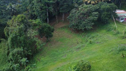 Acheter Terrain 2175 m2 Fort-de-france