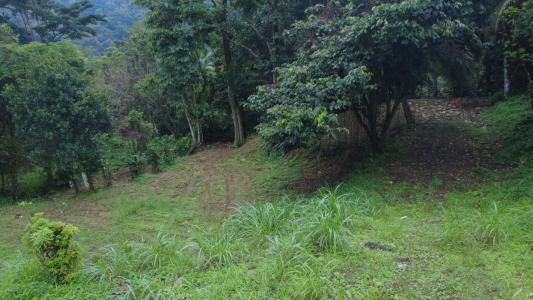 Acheter Terrain Fort-de-france Martinique